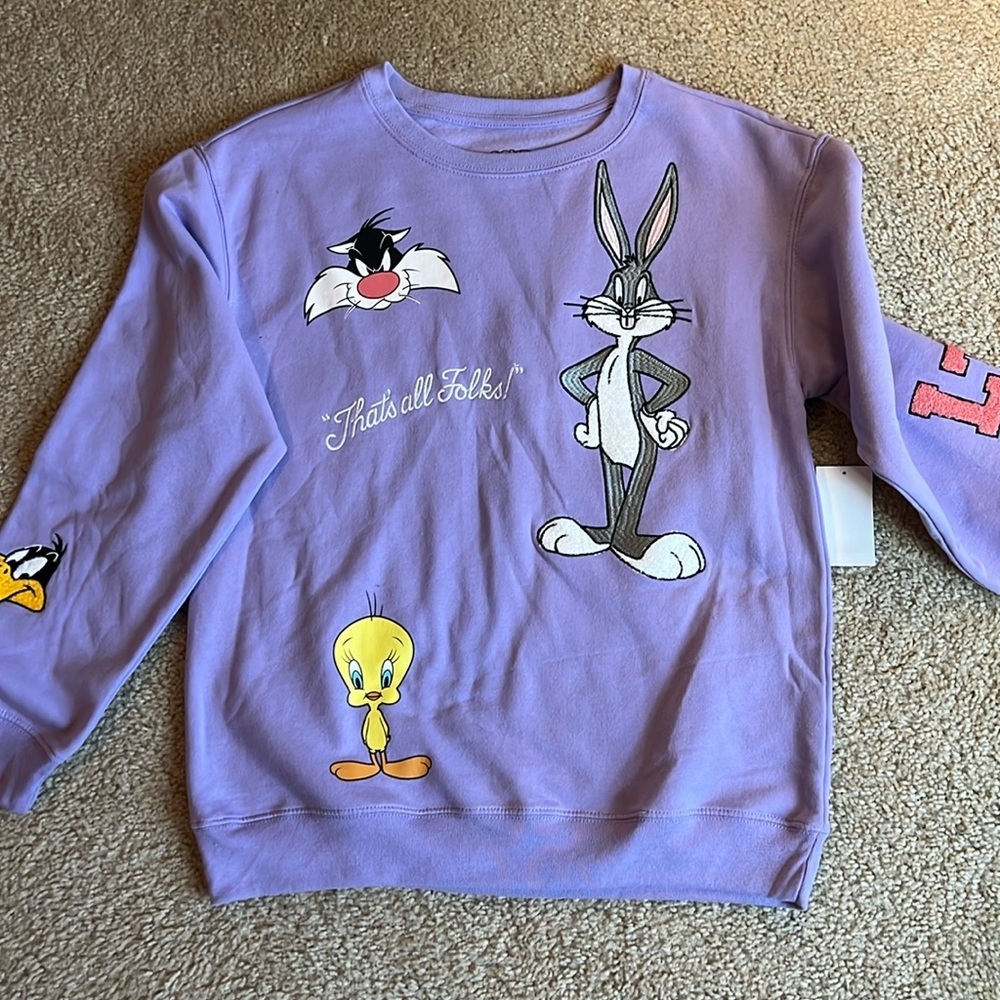 Looney Tunes bugs bunny Daffy Duck tweetie embroidered purple sweatshirt top